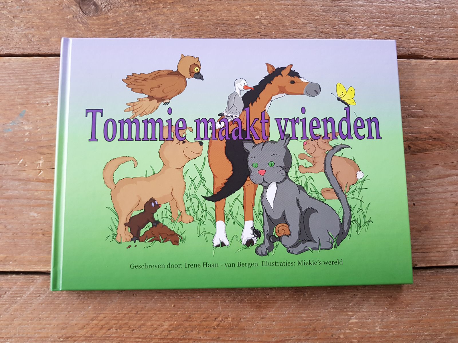 Boek: Tommie maakt vrienden