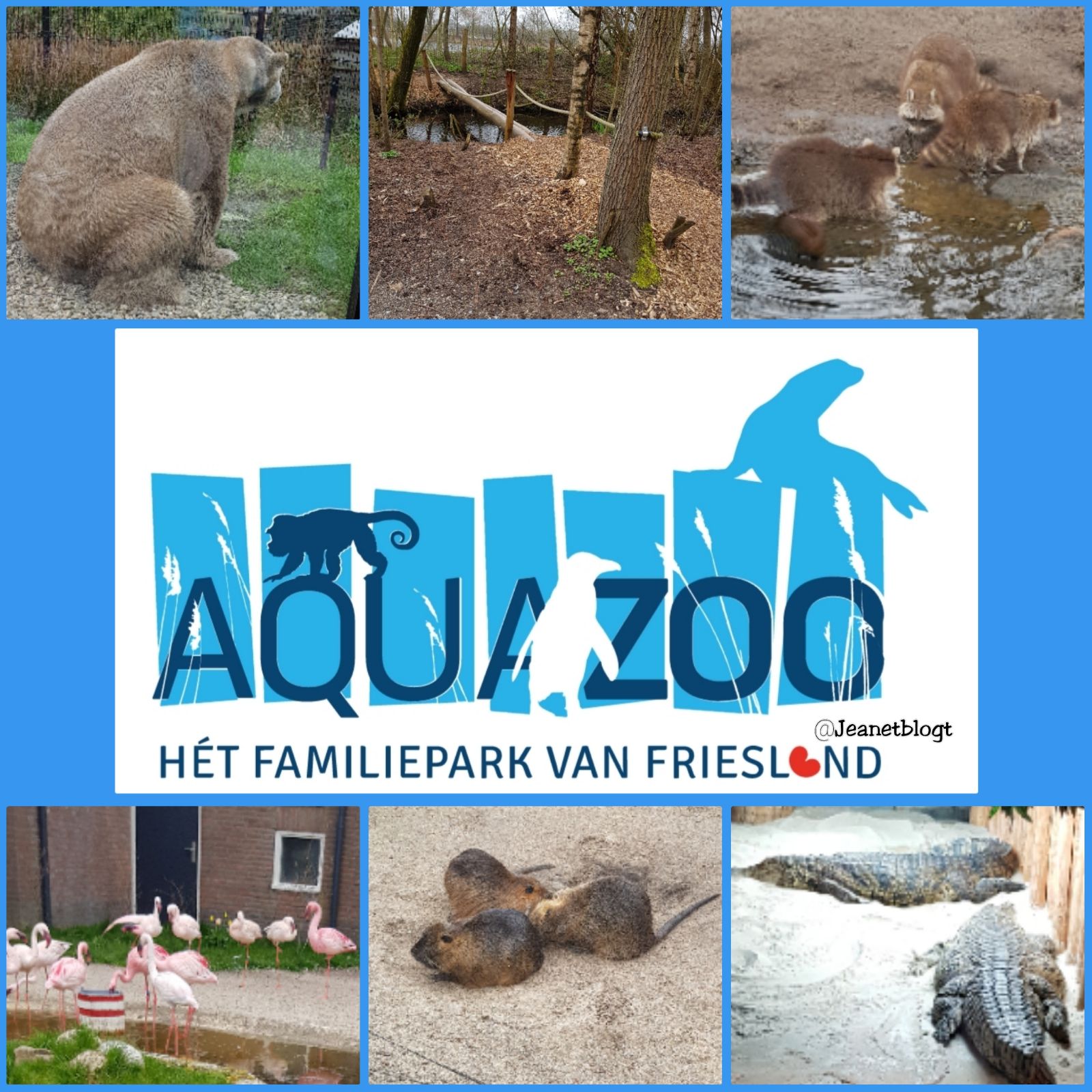 Aqua Zoo Leeuwarden.
