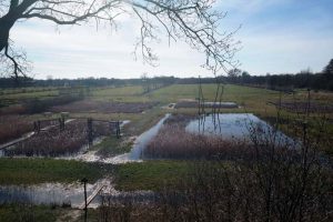 Speelbos-Staatsbosbeheer-Hossebos-Drogeham