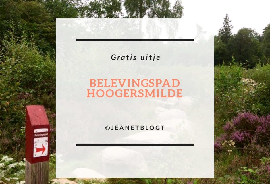 Belevingspad Hoogersmilde in Drenthe. Een beleving in de natuur voor jong en oud.