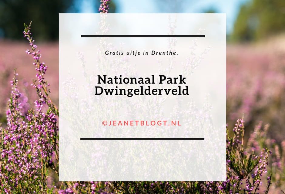 Nationaal Park Dwingelderveld