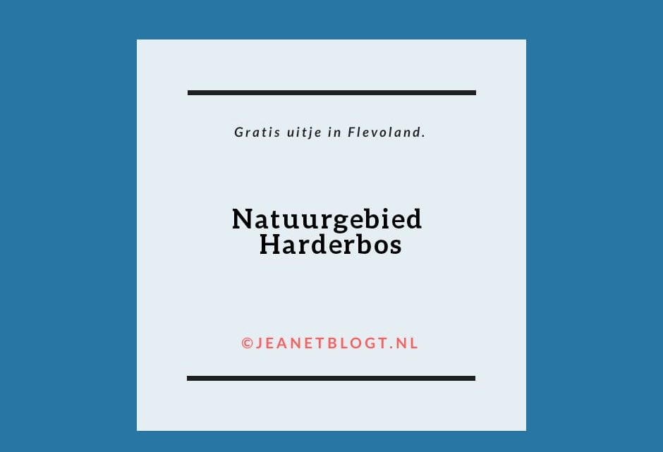 Natuurgebied Harderbos in Flevoland.
