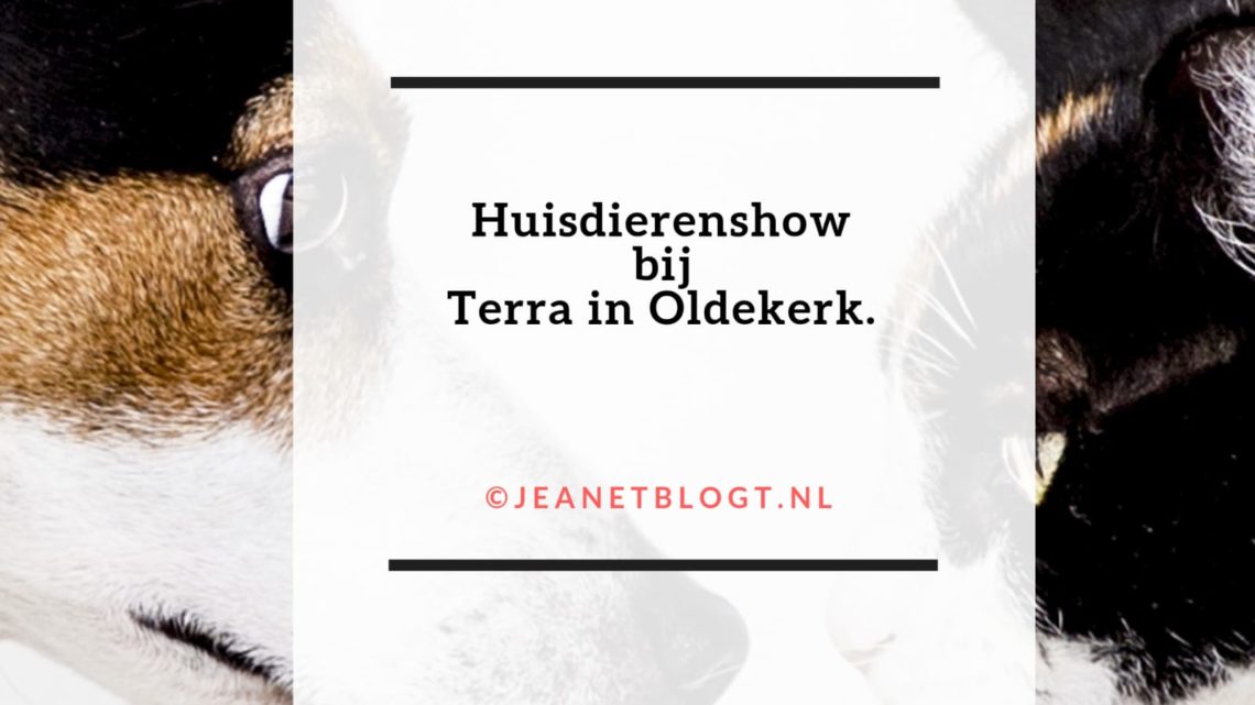 Huisdierenshow bij Terra in Oldekerk.