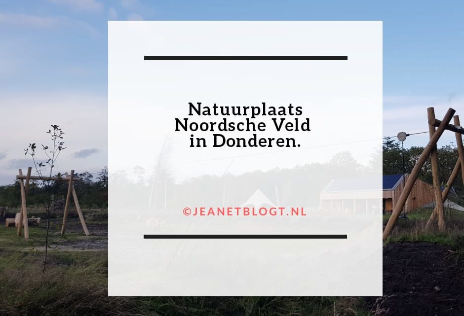 Natuurplaats Noordsche Veld in Donderen.